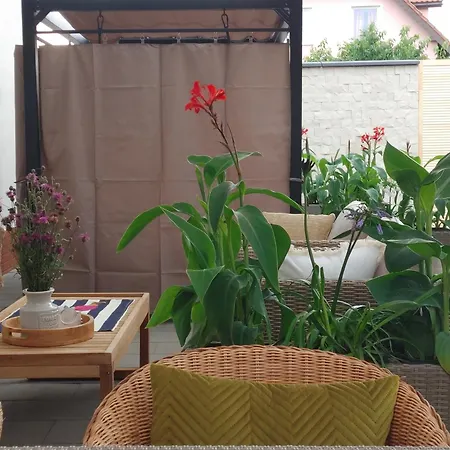 Apartment Apartament Lipowa Mrągowo